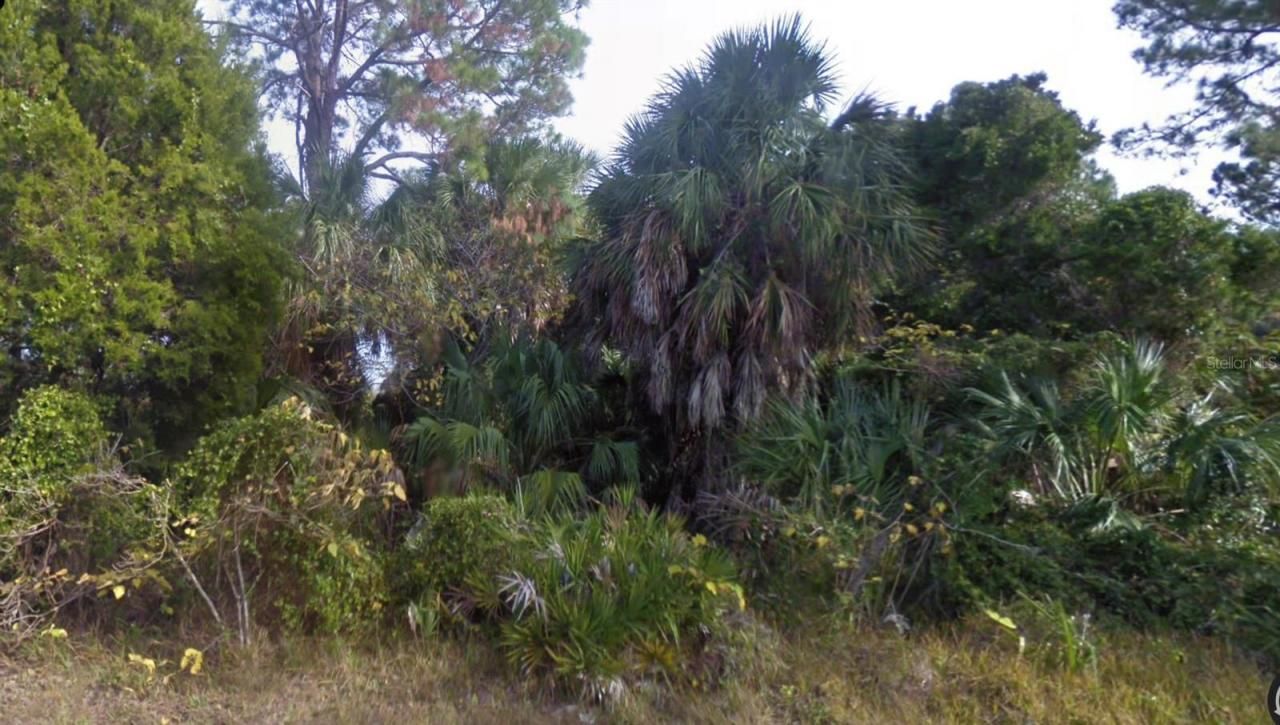 Lot 2 SW 165th Avenue, Cedar Key, FL 32625 Photo