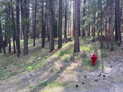 247 Gold Nugget Lane, Graeagle, CA 96103 Photo