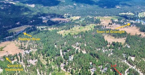 247 Gold Nugget Lane, Graeagle, CA 96103 Photo