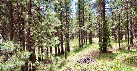 247 Gold Nugget Lane, Graeagle, CA 96103 Photo