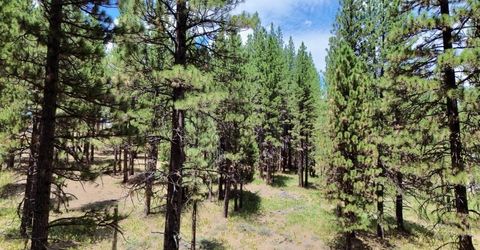 247 Gold Nugget Lane, Graeagle, CA 96103 Photo