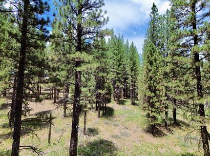 247 Gold Nugget Lane, Graeagle, CA 96103 Photo