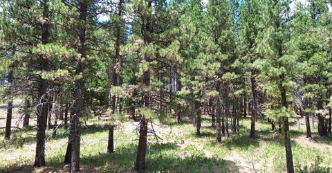 247 Gold Nugget Lane, Graeagle, CA 96103 Photo