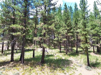 247 Gold Nugget Lane, Graeagle, CA 96103 Photo