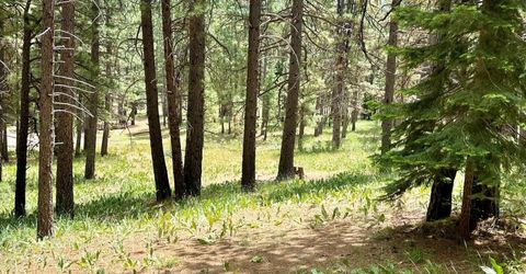 247 Gold Nugget Lane, Graeagle, CA 96103 Photo