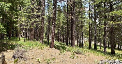 247 Gold Nugget Lane, Graeagle, CA 96103 Photo