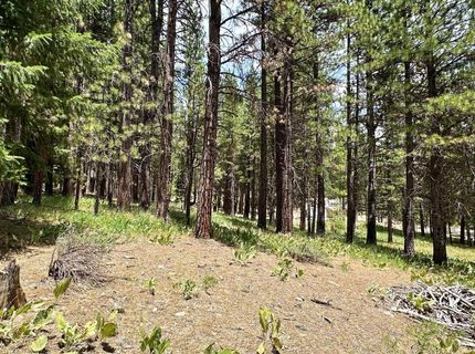 247 Gold Nugget Lane, Graeagle, CA 96103 Photo