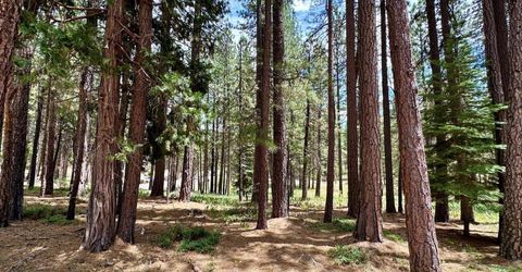 247 Gold Nugget Lane, Graeagle, CA 96103 Photo
