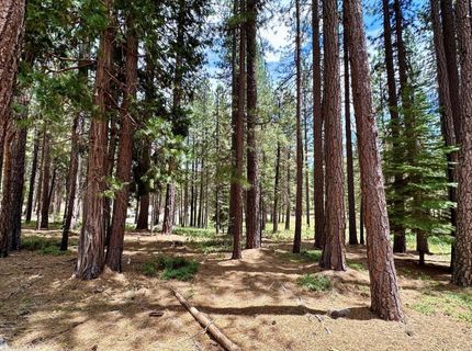 247 Gold Nugget Lane, Graeagle, CA 96103 Photo