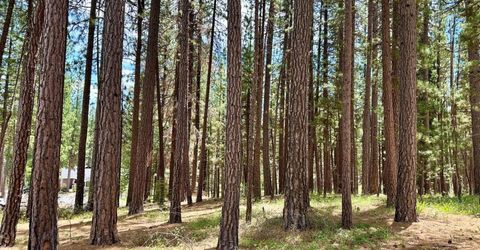 247 Gold Nugget Lane, Graeagle, CA 96103 Photo