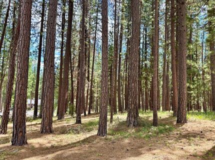 247 Gold Nugget Lane, Graeagle, CA 96103 Photo