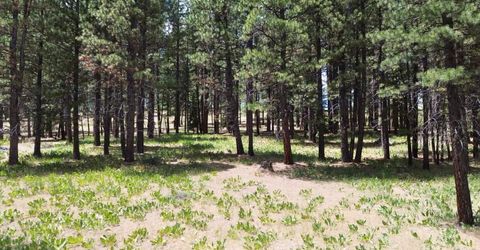 247 Gold Nugget Lane, Graeagle, CA 96103 Photo