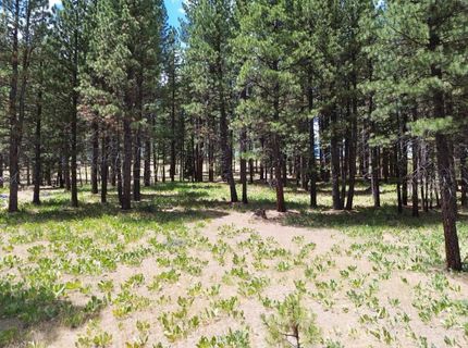 247 Gold Nugget Lane, Graeagle, CA 96103 Photo