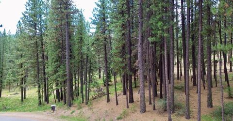 247 Gold Nugget Lane, Graeagle, CA 96103 Photo