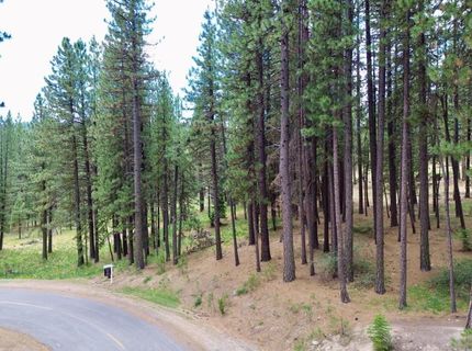 247 Gold Nugget Lane, Graeagle, CA 96103 Photo