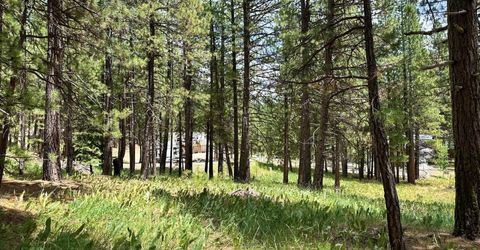 247 Gold Nugget Lane, Graeagle, CA 96103 Photo
