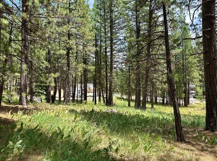 247 Gold Nugget Lane, Graeagle, CA 96103 Photo