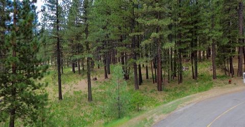 247 Gold Nugget Lane, Graeagle, CA 96103 Photo