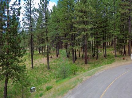 247 Gold Nugget Lane, Graeagle, CA 96103 Photo