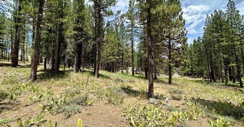 247 Gold Nugget Lane, Graeagle, CA 96103 Photo
