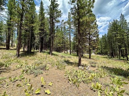 247 Gold Nugget Lane, Graeagle, CA 96103 Photo