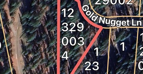 247 Gold Nugget Lane, Graeagle, CA 96103 Photo