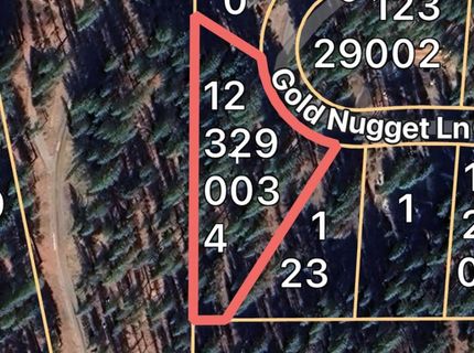 247 Gold Nugget Lane, Graeagle, CA 96103 Photo