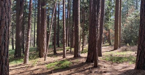 247 Gold Nugget Lane, Graeagle, CA 96103 Photo
