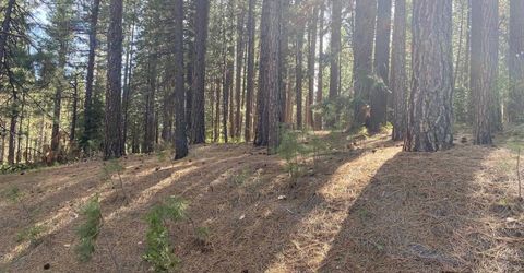 247 Gold Nugget Lane, Graeagle, CA 96103 Photo