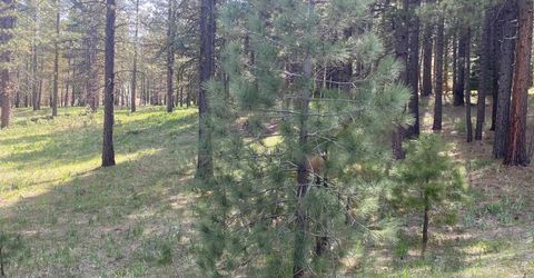 247 Gold Nugget Lane, Graeagle, CA 96103 Photo