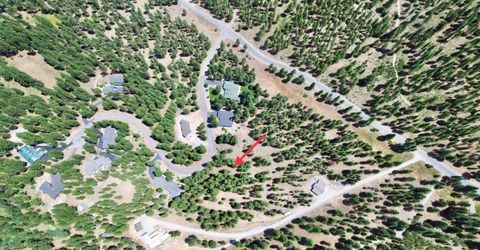 247 Gold Nugget Lane, Graeagle, CA 96103 Photo