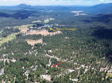 247 Gold Nugget Lane, Graeagle, CA 96103 Photo