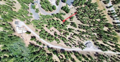 247 Gold Nugget Lane, Graeagle, CA 96103 Photo