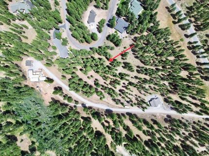 247 Gold Nugget Lane, Graeagle, CA 96103 Photo