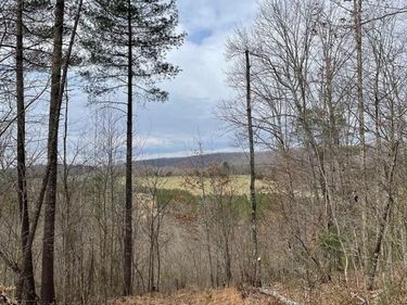 70-131 ESTALINE VALLEY RD, CRAIGSVILLE, VA 24430