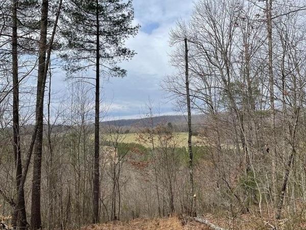 70-131 ESTALINE VALLEY RD, CRAIGSVILLE, VA 24430