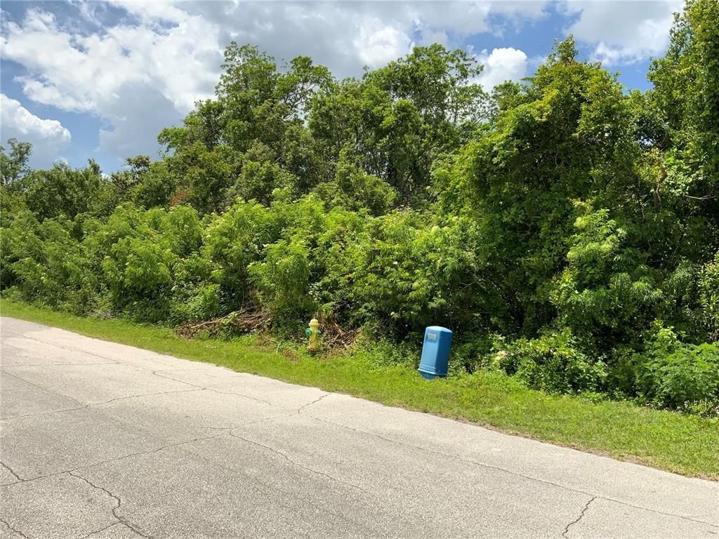 Hastings Drive, Deltona, FL 32725 Photo