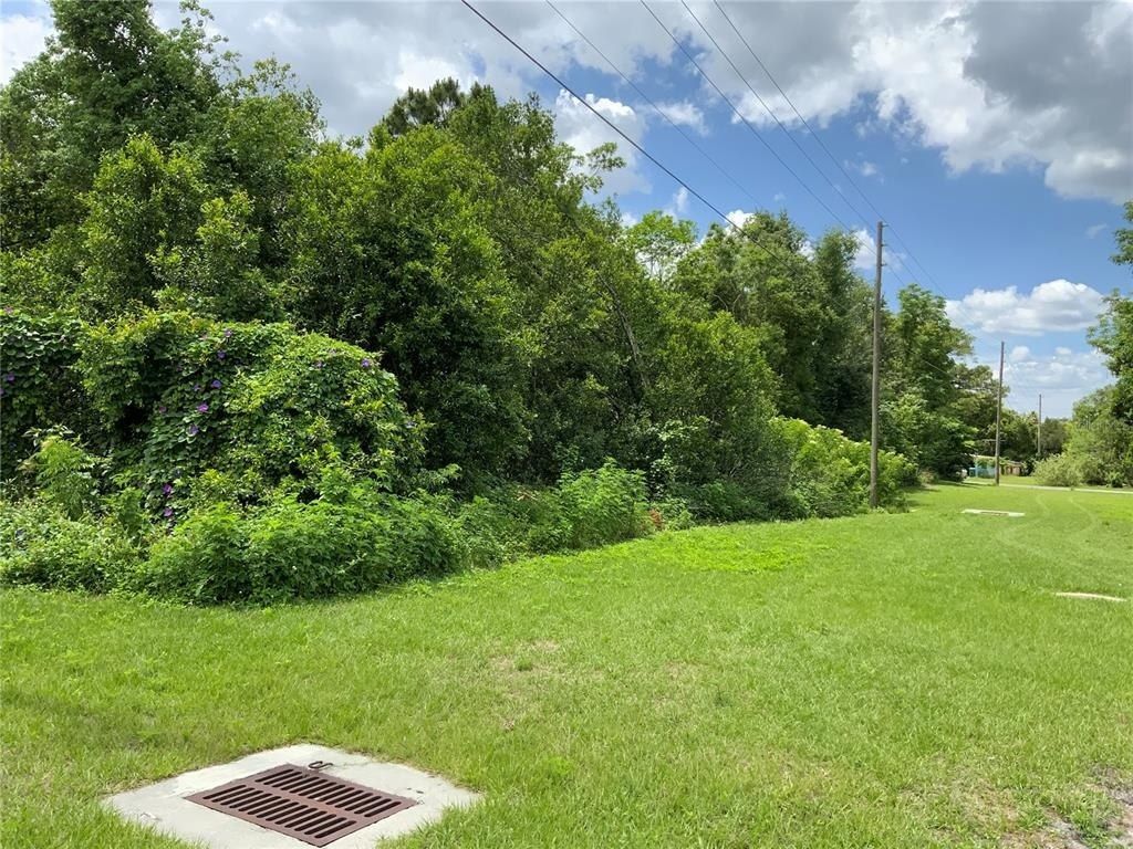Hastings Drive, Deltona, FL 32725 Photo