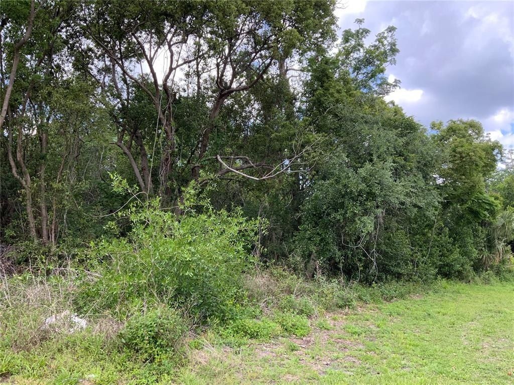 Hastings Drive, Deltona, FL 32725 Photo