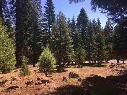 1019 Timber Ridge Road, Lake Almanor, CA 96137 Photo