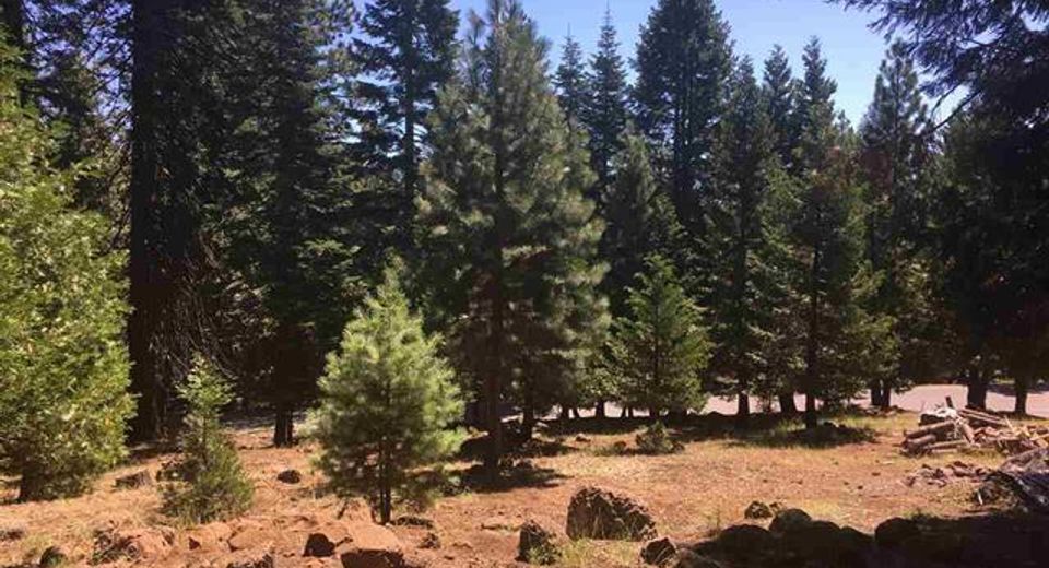 1019 Timber Ridge Road, Lake Almanor, CA 96137 Photo