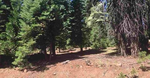 1019 Timber Ridge Road, Lake Almanor, CA 96137 Photo