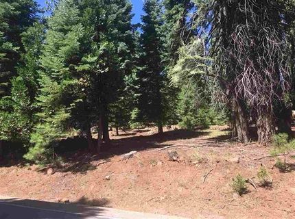 1019 Timber Ridge Road, Lake Almanor, CA 96137 Photo
