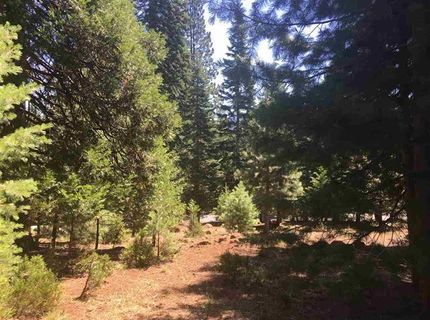 1019 Timber Ridge Road, Lake Almanor, CA 96137 Photo