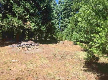 1019 Timber Ridge Road, Lake Almanor, CA 96137 Photo