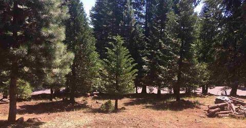 1019 Timber Ridge Road, Lake Almanor, CA 96137 Photo