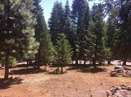 1019 Timber Ridge Road, Lake Almanor, CA 96137 Photo