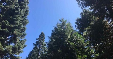 1019 Timber Ridge Road, Lake Almanor, CA 96137 Photo