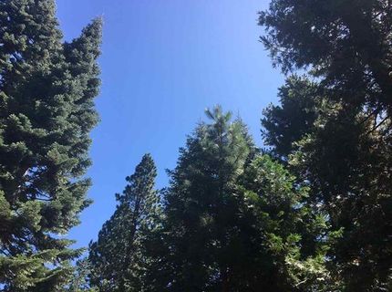 1019 Timber Ridge Road, Lake Almanor, CA 96137 Photo