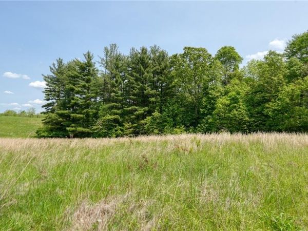 63660 Wintergreen Road, Lore City, OH 43755